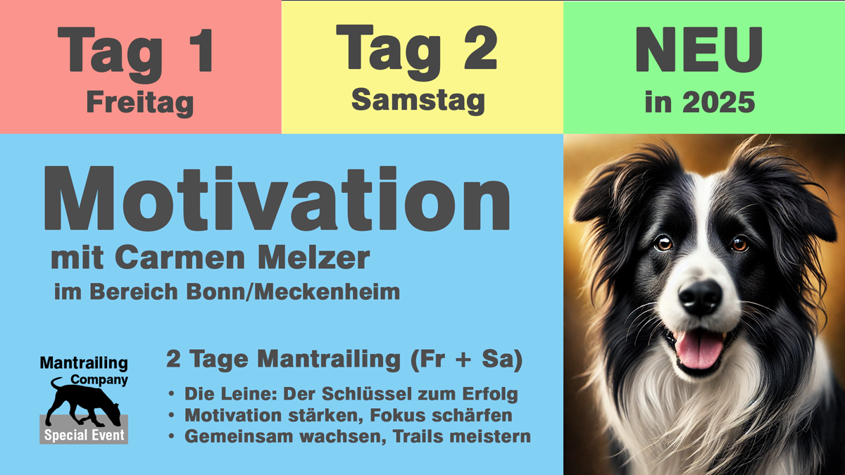 2 Tage Motivation mit Carmen