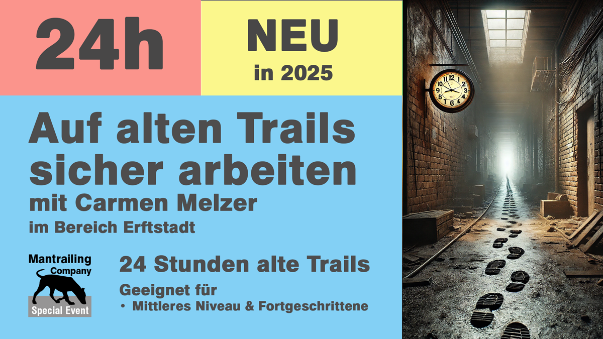 24h alte Trails Carmen