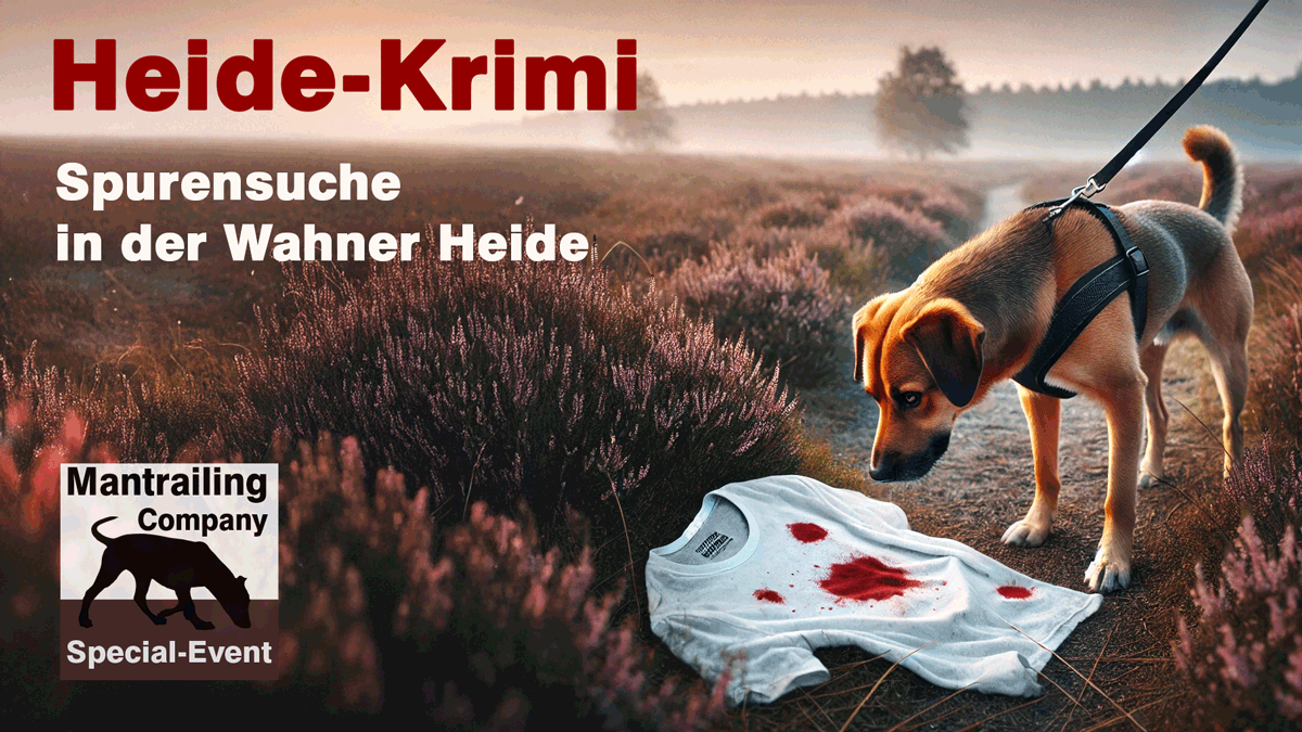 Heide Krimi 2024