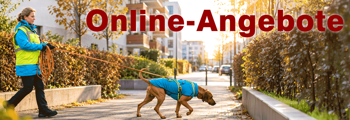 Mensch-Hund-Team beim Mantrailing