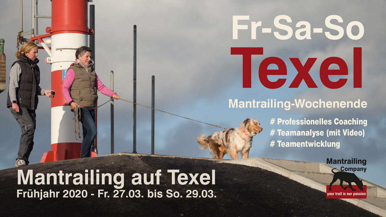 Mantrailing Wochenende - boost your skills - Texel