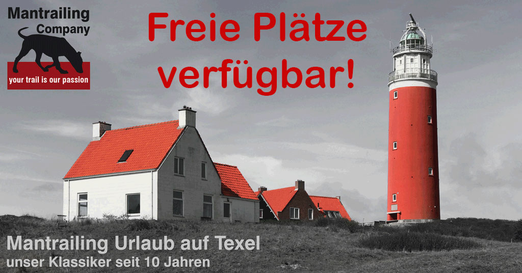 Texel no date free