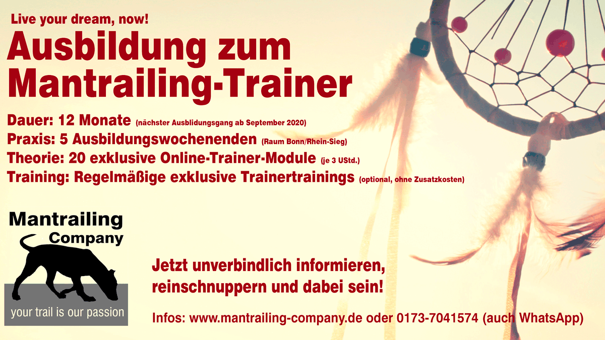 Trainerausbildung 2020b