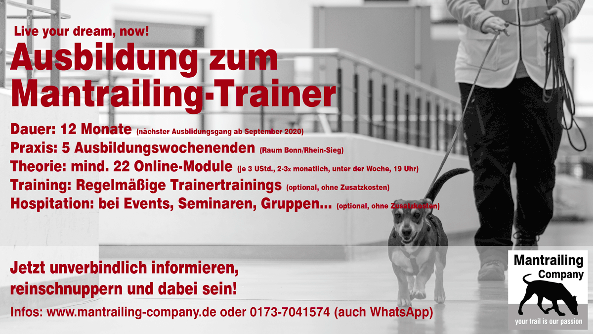 Trainerausbildung 2020b