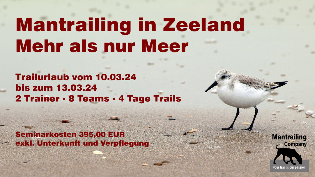 Trailurlaub in Zeeland