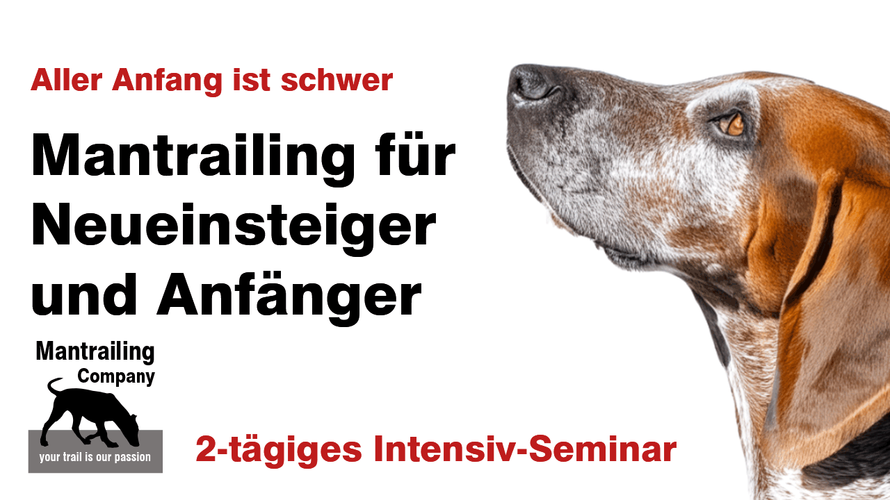 Intensiv-Seminar für Neueinsteiger und Anfänger