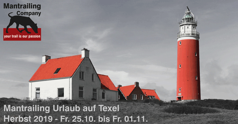 TrailUrlaub auf Texel - Herbst 2019